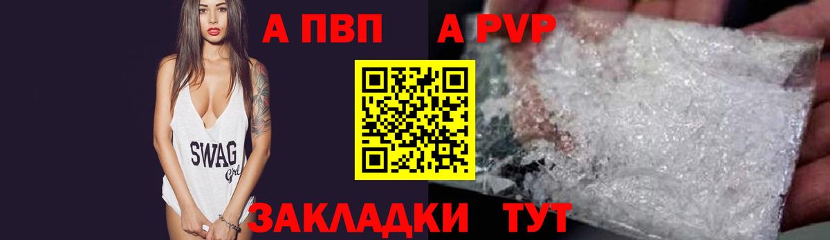 А ПВП СК Новошахтинск