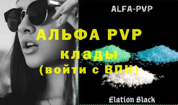 индика Михайловск