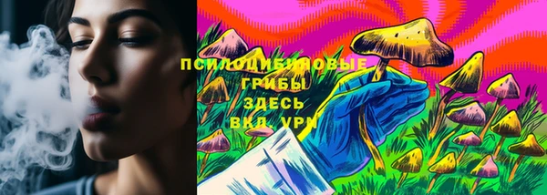 Альфа ПВП Алексин