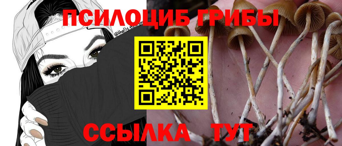 Галлюциногенные грибы Cubensis  Вход с VPN  Новошахтинск  Галлюциногенные грибы MAGIC MUSHROOMS 