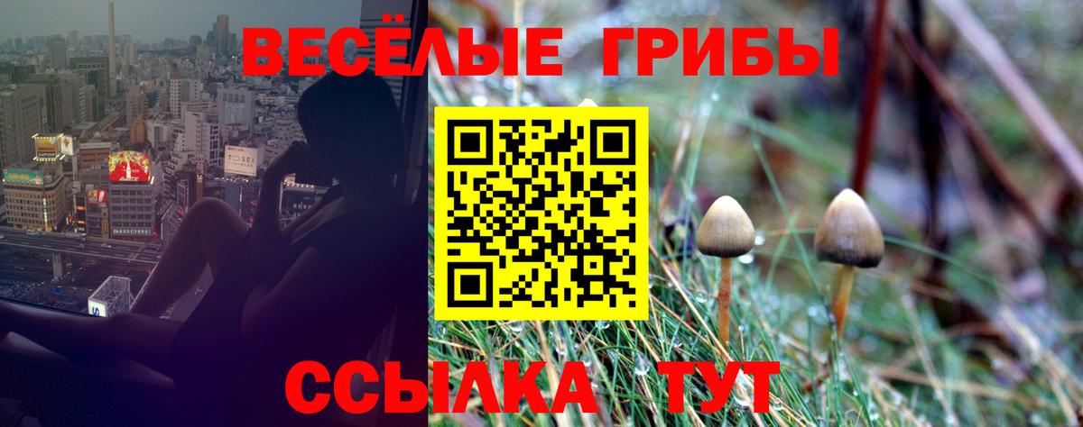Псилоцибиновые грибы ЛСД Новошахтинск