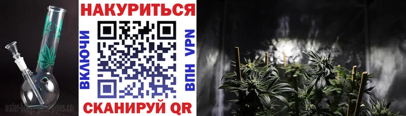 как найти   Новошахтинск  Канабис индика 